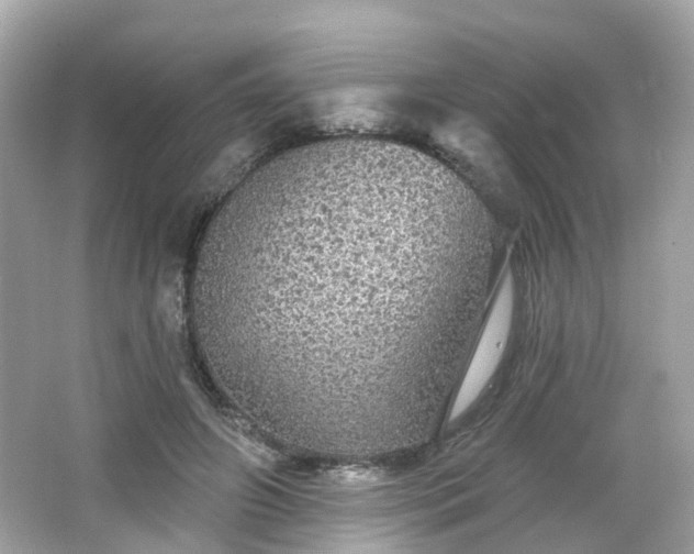 X0000066530498200603201403