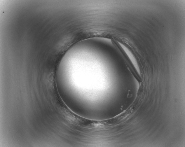 X0000066530509200603201403