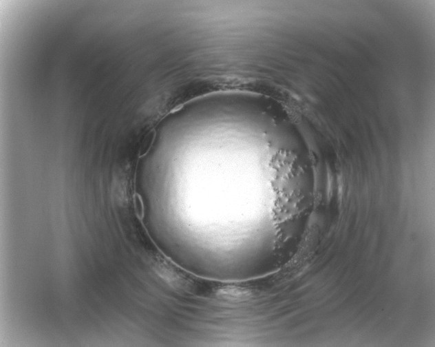 X0000066530515200603201403