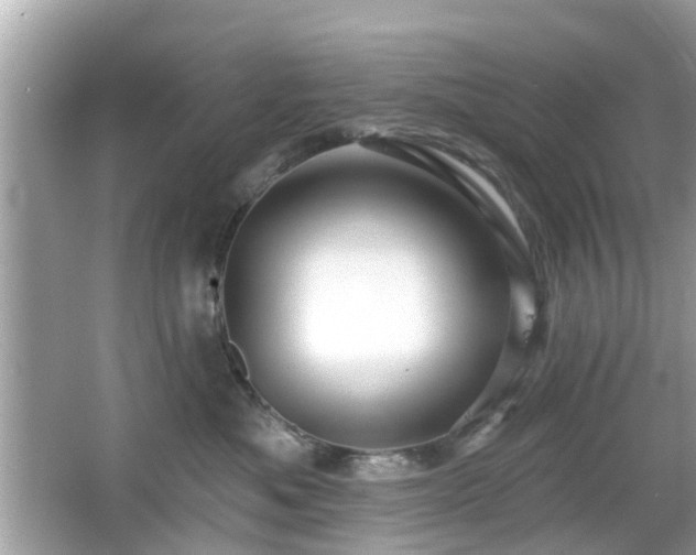 X0000066530525200603201403