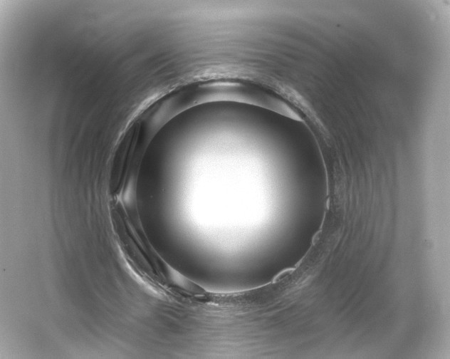 X0000066530530200603201402