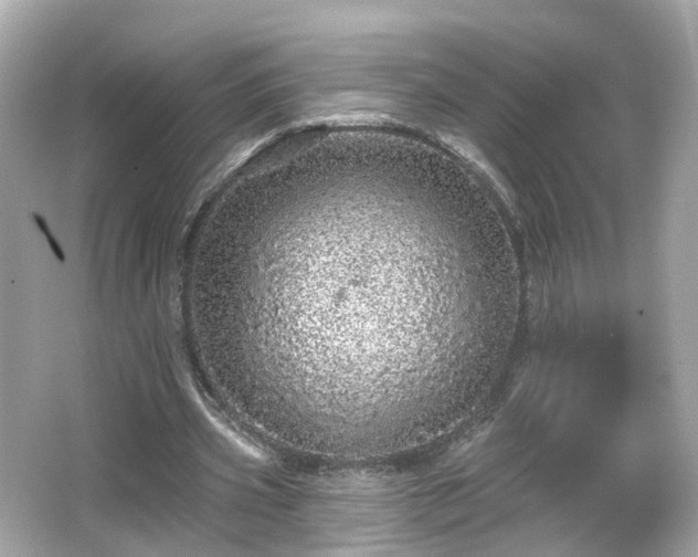 X0000066530533200603201402