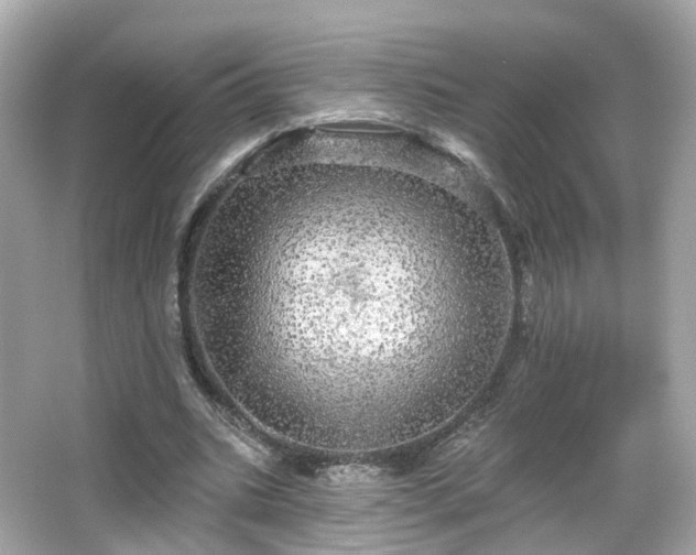 X0000066530535200603201402