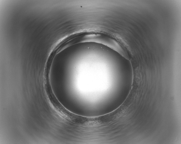 X0000066530536200603201402