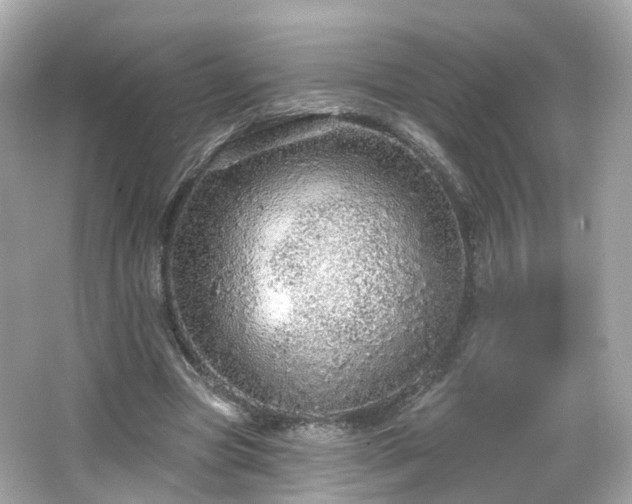 X0000066530537200603201402