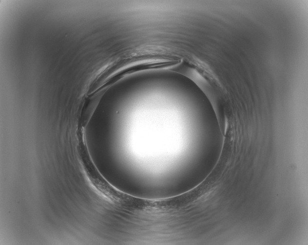 X0000066530538200603201402