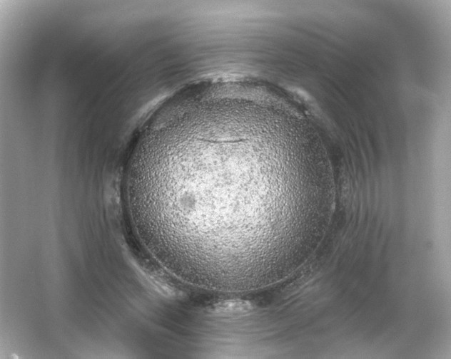 X0000066530543200603201402