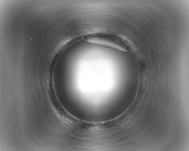 X0000066530544200603201402
