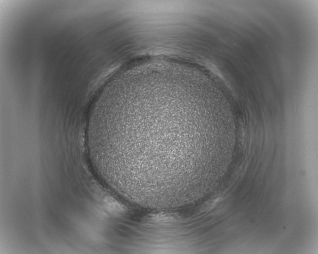 X0000066530545200603201402