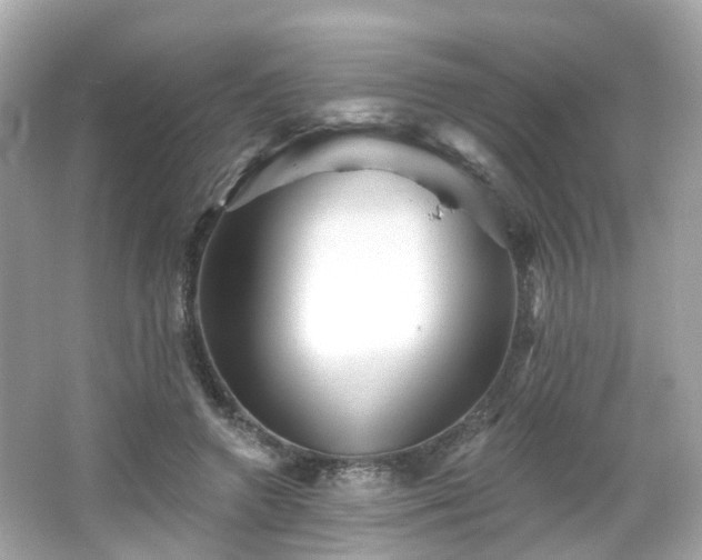 X0000066530546200603201402