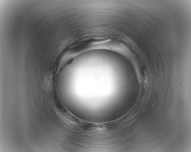 X0000066530552200603201402
