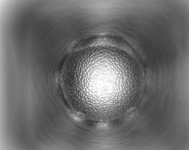 X0000066530574200603201403