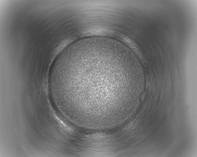 X0000066530578200603201402