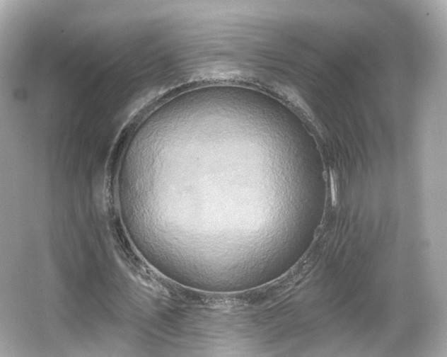 X0000066530579200603201402