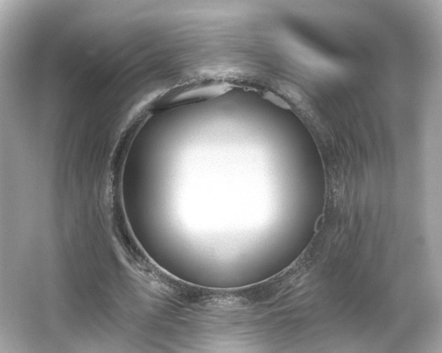 X0000066530583200603201402