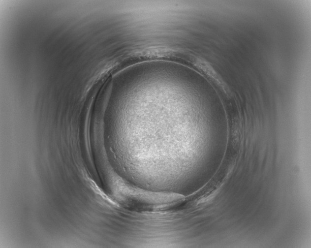 X0000066530585200603201402