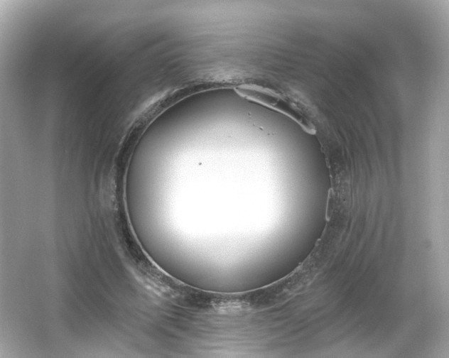 X0000066530587200603201402