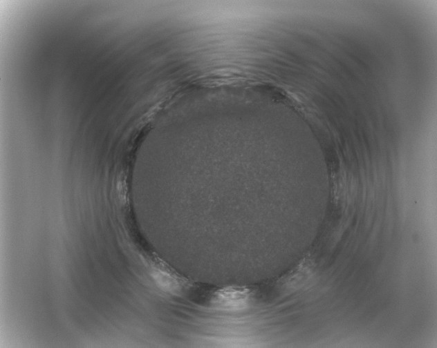 X0000066530606200603201401