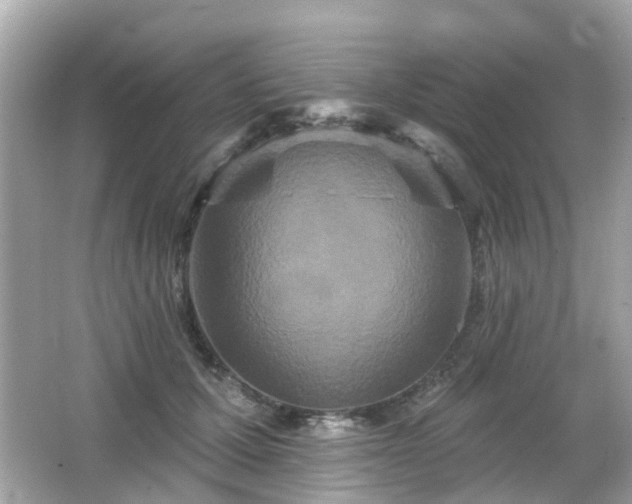 X0000066530607200603201401