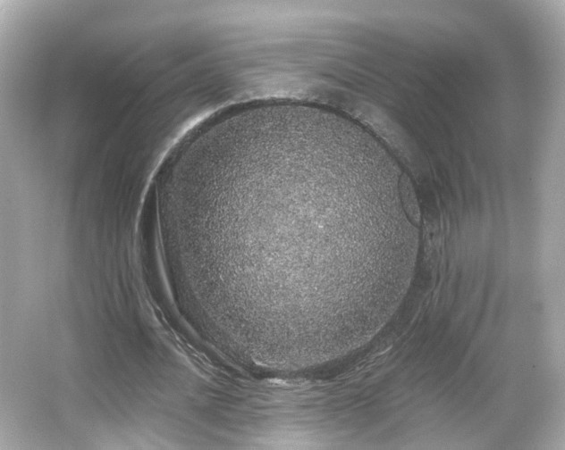 X0000066530628200603201400