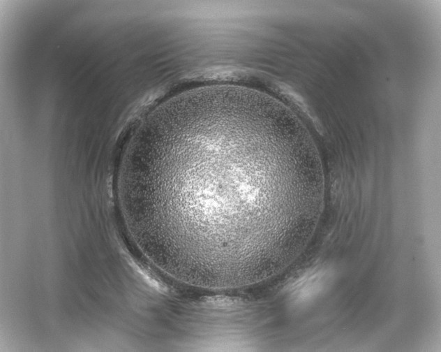 X0000066530633200603201400