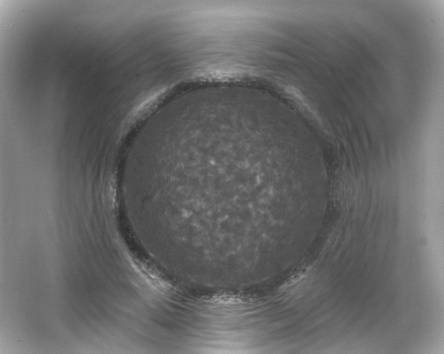 X0000066530640200603201401