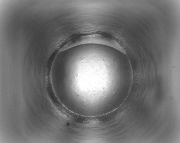 X0000066530642200603201401