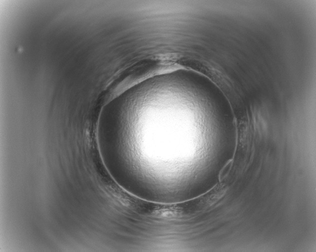 X0000066530655200603201401