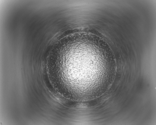 X0000066530656200603201401