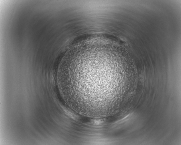 X0000066530662200603201401