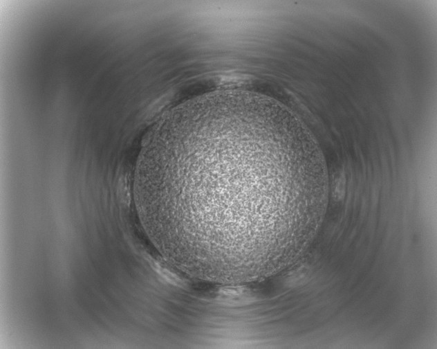X0000066530666200603201401
