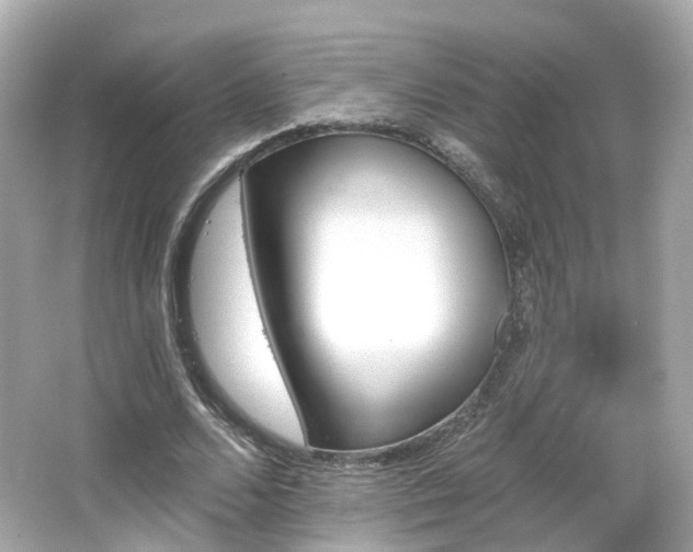 X0000066530680200603201400