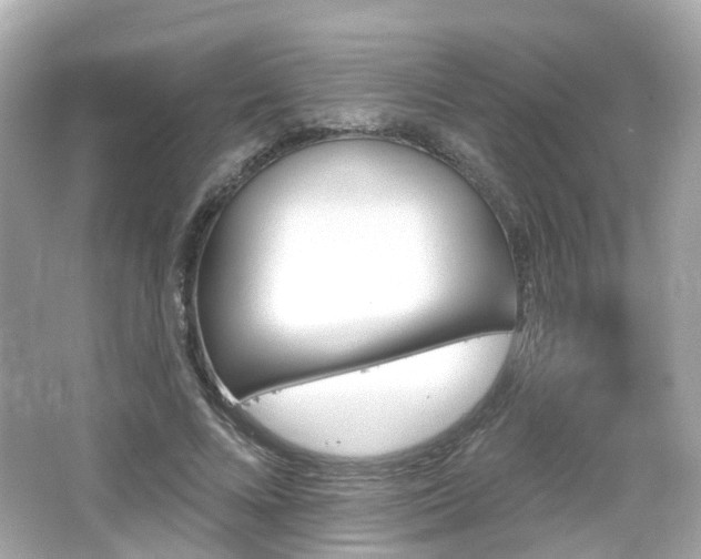 X0000066530688200603201400