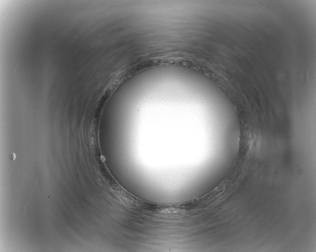 X0000066530708200603201400