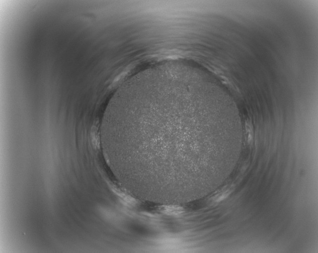 X0000066530719200603201400
