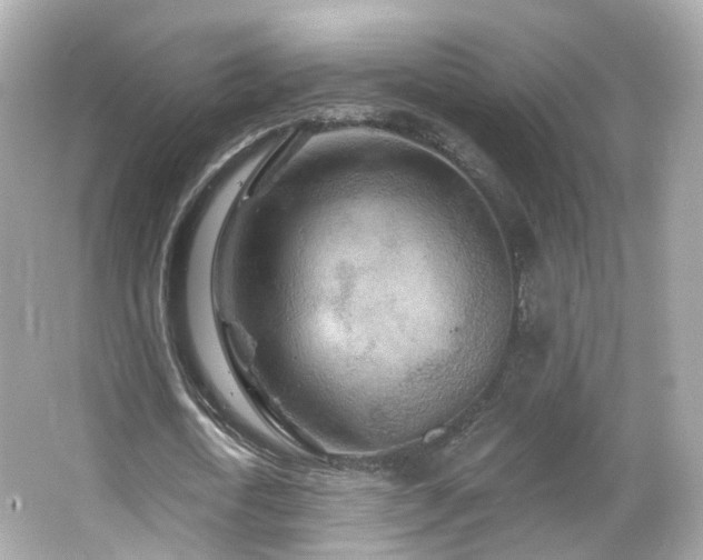 X0000066530722200603201359
