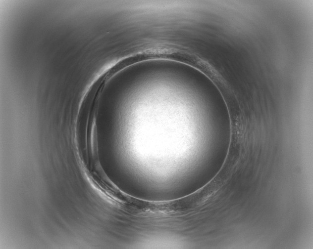 X0000066530726200603201359