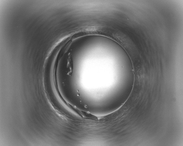 X0000066530728200603201359