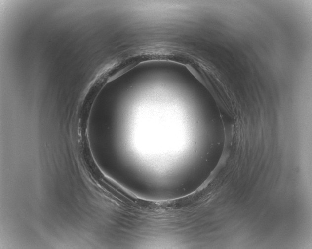 X0000066530731200603201359