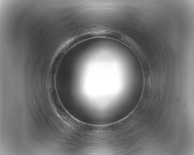 X0000066530732200603201359