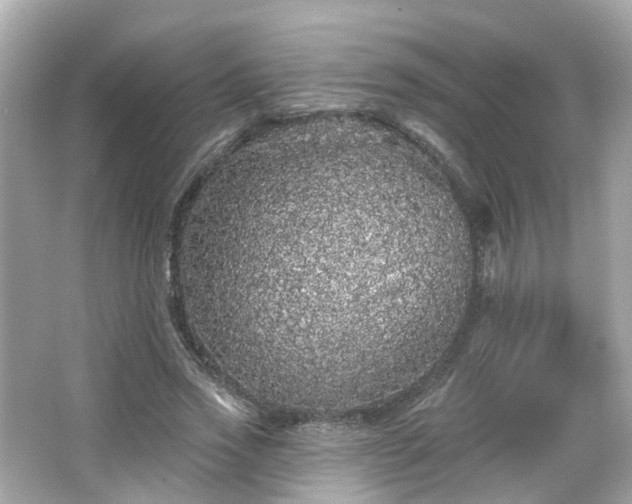X0000066530733200603201359