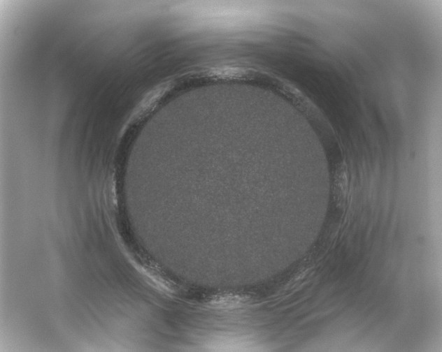 X0000066530734200603201359