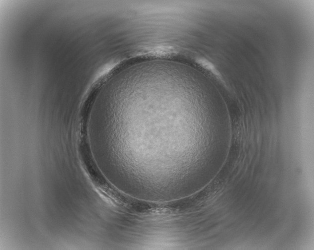 X0000066530736200603201359