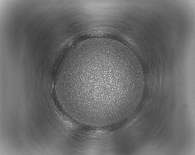 X0000066530737200603201359