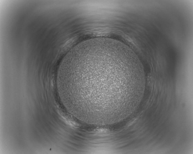 X0000066530741200603201359