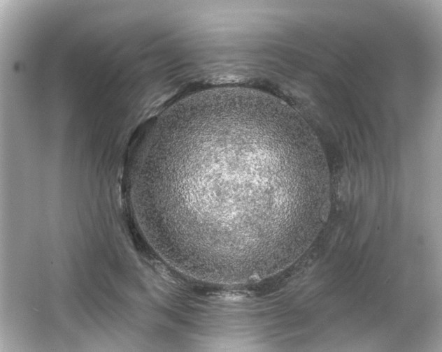 X0000066530743200603201359