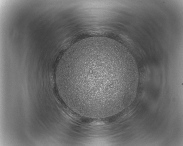 X0000066530749200603201359