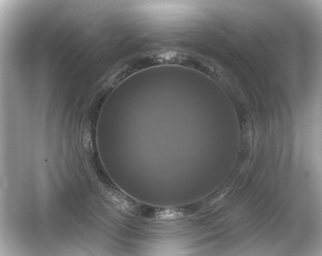 X0000066530754200603201359