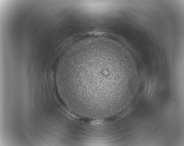 X0000066530761200603201359