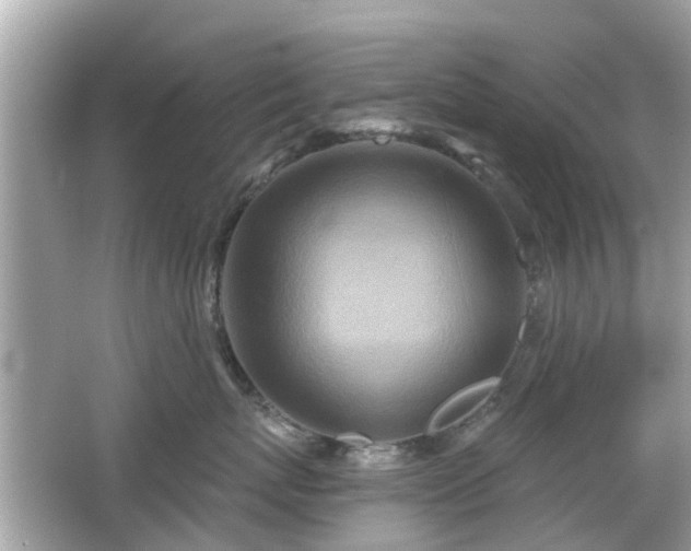 X0000066530767200603201359